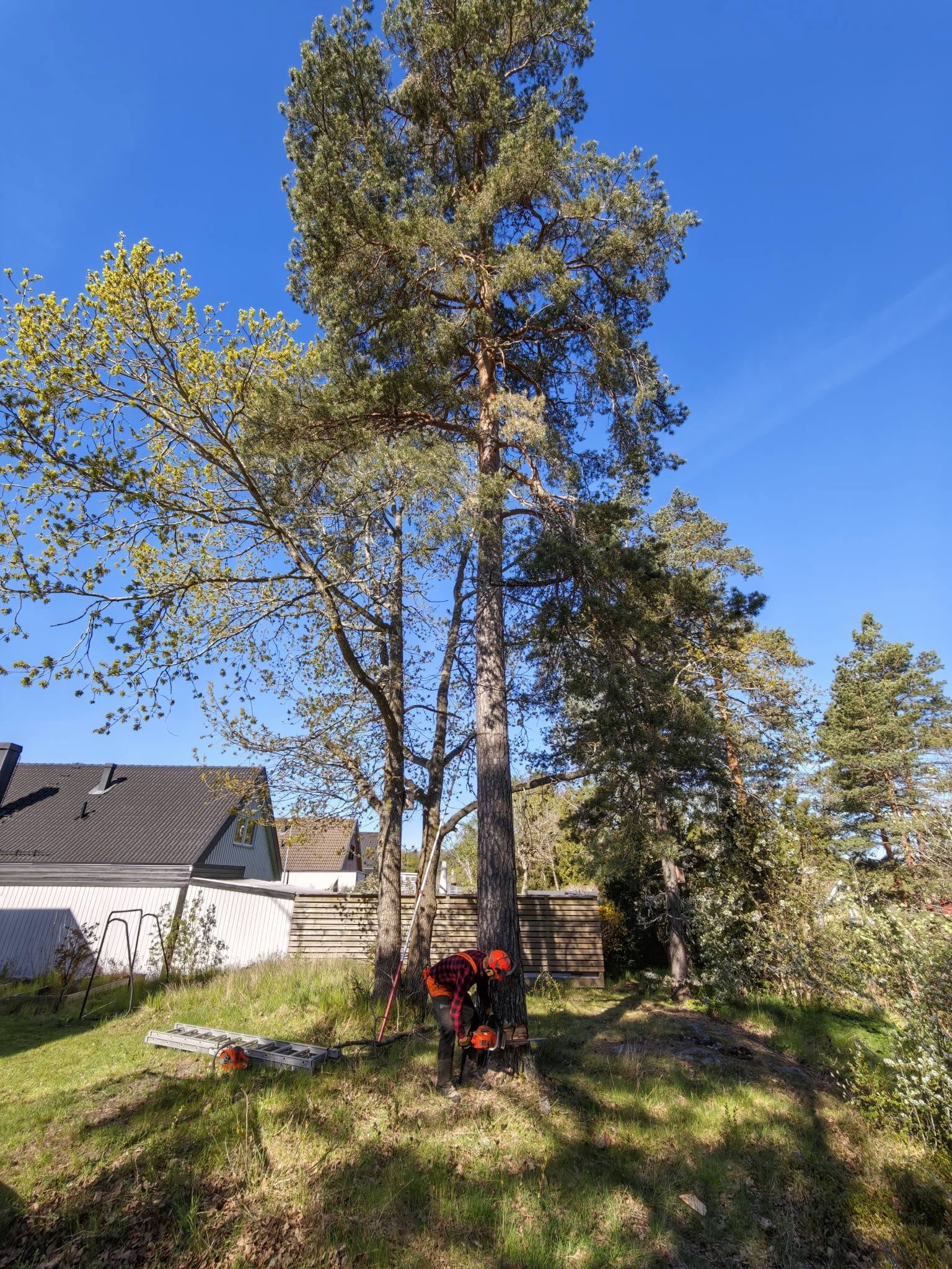 PEWIMA Mark & Grönt AB
